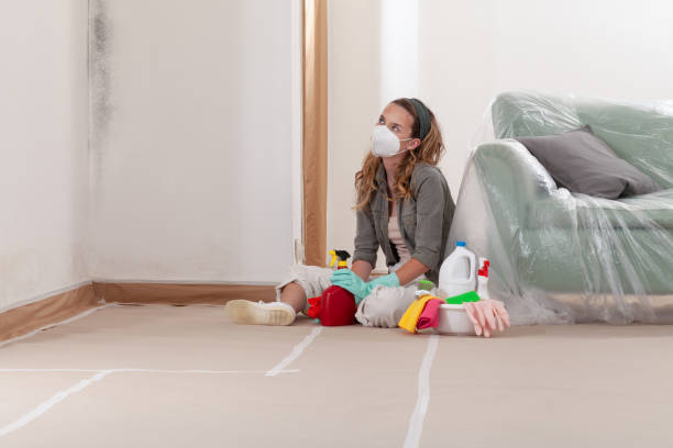 Reliable Mold Testing contractor in Arlington, MN by WQB Mold Removal